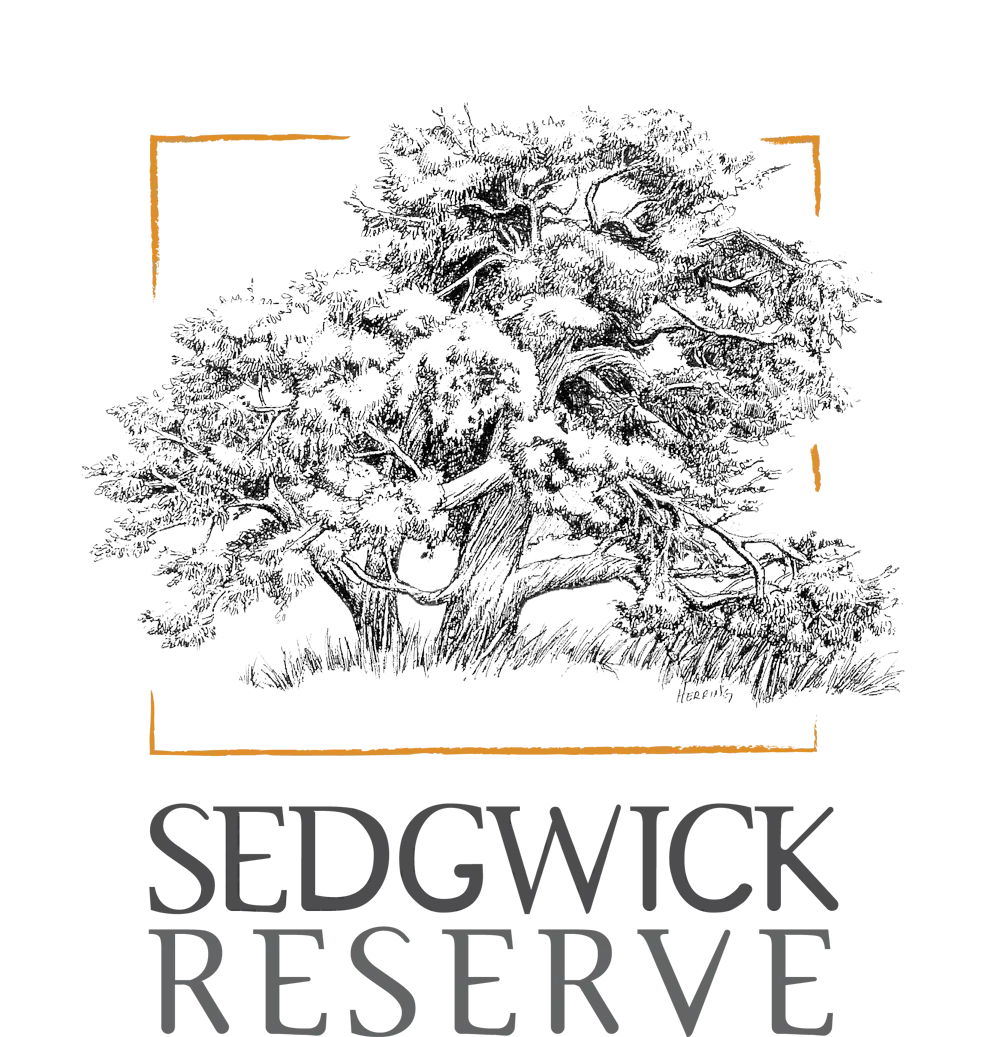 Sedgwick-logo-Transparent-High-Quality Sedgwick